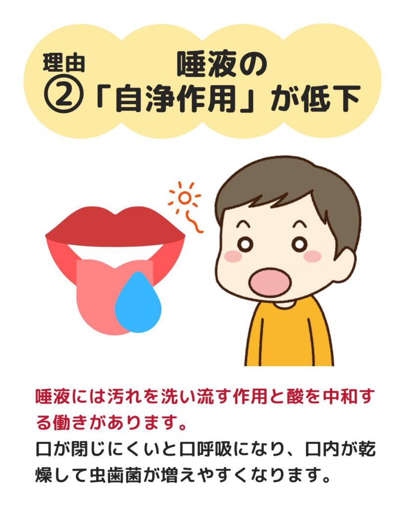 今回は、虫歯リスクと予防方法についてご紹介します🙌
