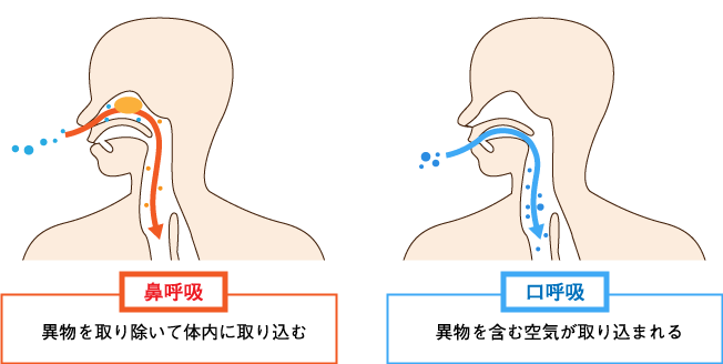 鼻呼吸と口呼吸