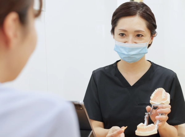 歯磨きの仕方について歯の模型を使って解説してる女性歯科衛生士