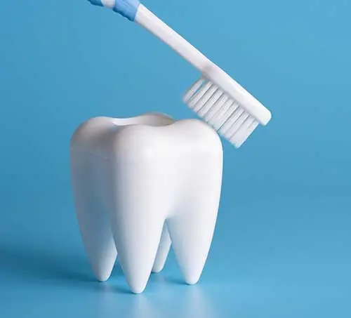 虫歯・歯周病を効果的に予防したい