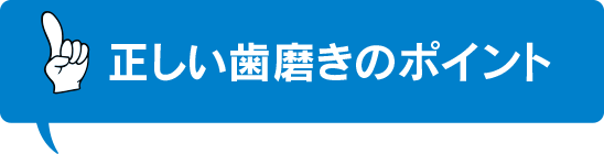 正しい歯磨きのポイント